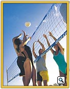 Voley